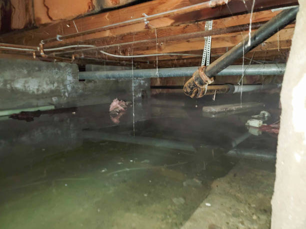 Best Water damage restoration insurance claims  in Fannett, TX
