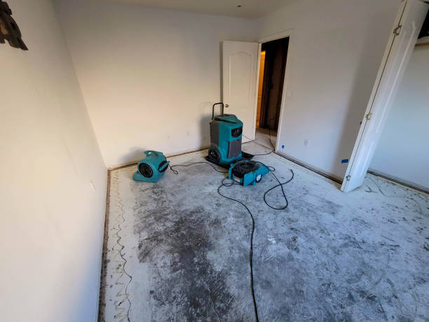 Best Flooded house restoration  in Fannett, TX