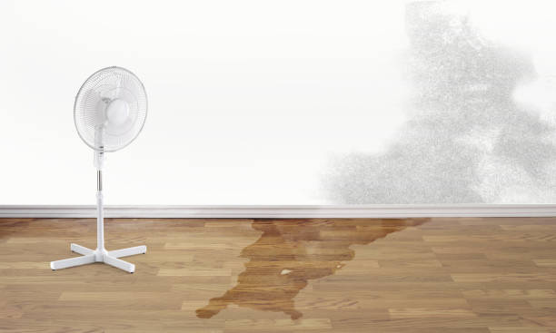 Best Water damage restoration near me  in Fannett, TX