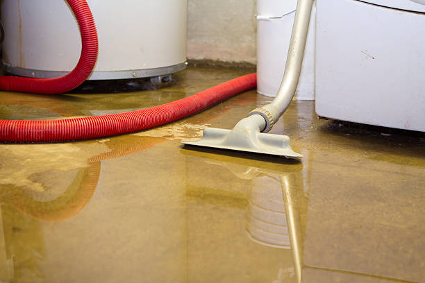 Professional Water damage restoration in Fannett, TX