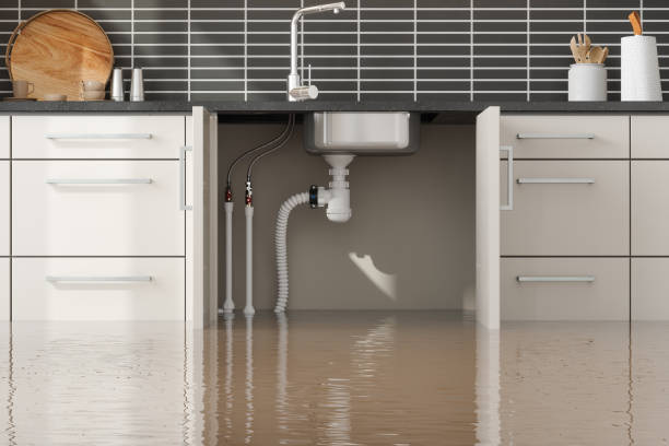 Best Professional water damage repair  in Fannett, TX
