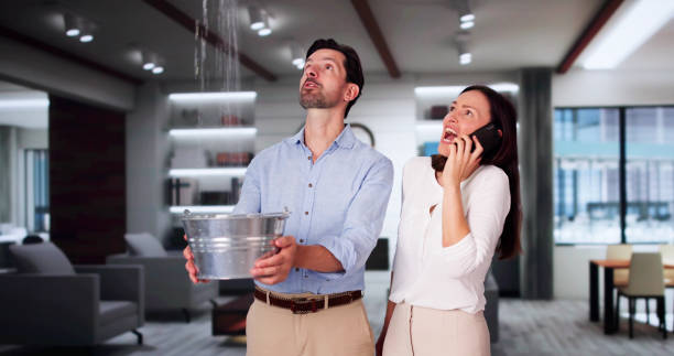 Best Mold removal after water damage  in Fannett, TX